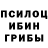Галлюциногенные грибы мицелий Ridder