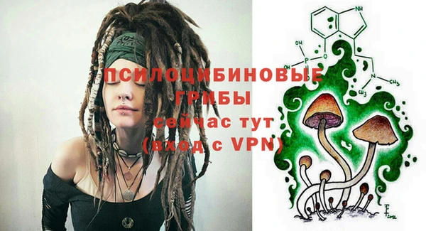 МДПВ Верея