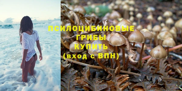 бутират Верхний Тагил