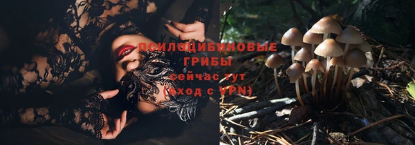 гидра Верхнеуральск