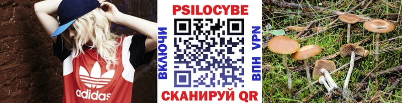 Галлюциногенные грибы мицелий  Иваново 